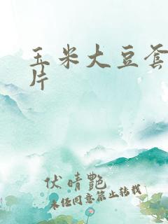 玉米大豆套种图片
