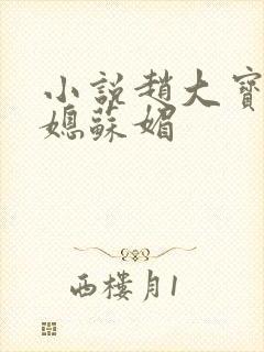小说赵大宝和儿媳苏媚
