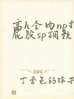 高h全肉np打屁股sp调教
