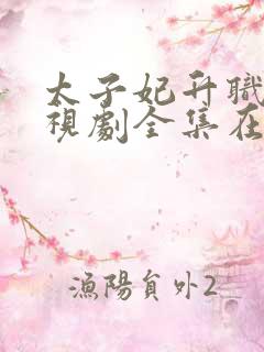 太子妃升职记电视剧全集在线观看