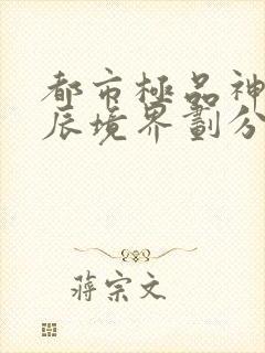 都市极品神医叶辰境界划分