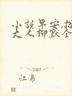 小说早安,总裁大人柳默全文