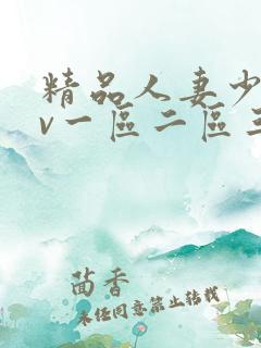 精品人妻少妇av一区二区三区