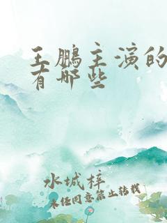 王鹏主演的短剧有哪些