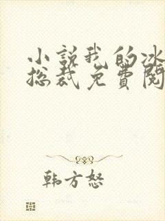 小说我的冰山女总裁免费阅读