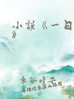 小说《一日为师》
