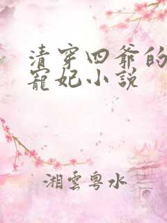 清穿四爷的心尖宠妃小说