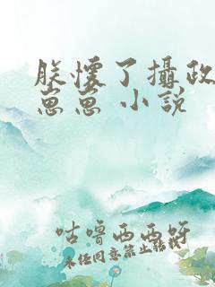 朕怀了摄政王的崽崽 小说