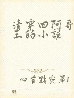 清穿四阿哥是闲王的小说