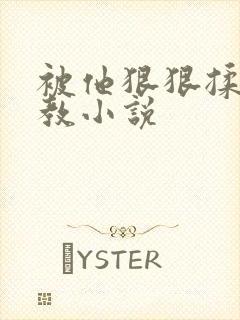 被他狠狠揉搓调教小说