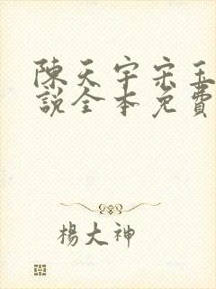 陈天宇宋玉婷小说全本免费阅读