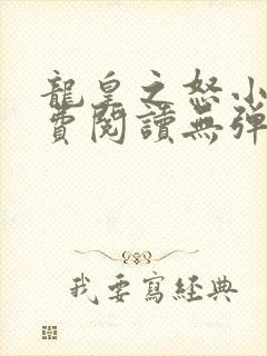 龙皇之怒小说免费阅读无弹窗