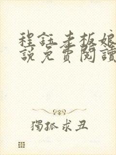 程钰老板娘的小说免费阅读无弹窗