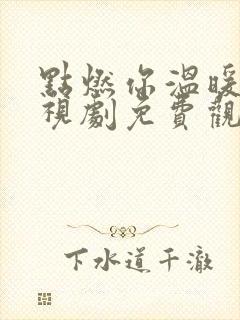 点燃你温暖我电视剧免费观看全集