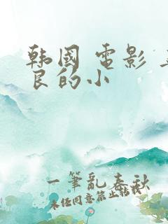 韩国 电影 善良的小