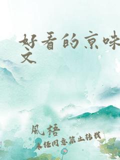 好看的京味高干文