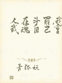 人在斗罗,我的武魂自己会进化小说
