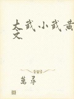 大武小武黄蓉原文