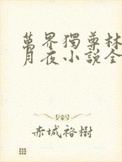 万界独尊林枫妖月夜小说全文免费阅读