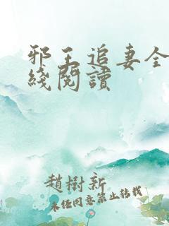 邪王追妻全文在线阅读