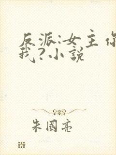 反派:女主你搞我?小说