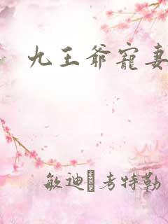 九王爷宠妻如命