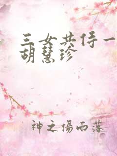三女共侍一夫之胡慧珍