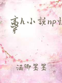 高h小说np快穿