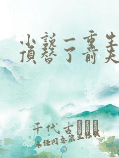 小说一重生后我顶替了前夫白月光