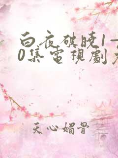白夜破晓1—40集电视剧免费观看