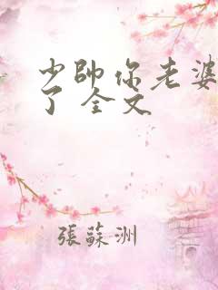 少帅你老婆又跑了 全文