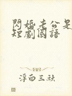 闪婚老公是豪门短剧国语