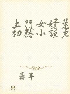 上门女婿叶辰萧初然小说免费阅读无弹窗