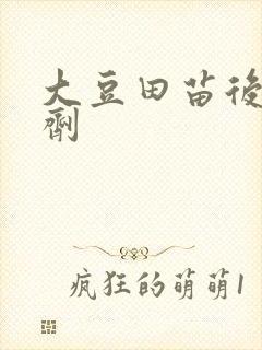 大豆田苗后除草剂