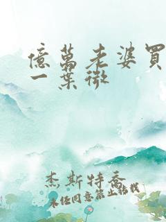 亿万老婆买一送一叶微