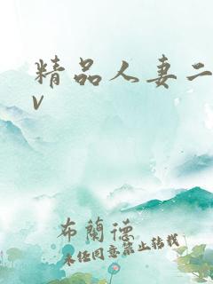 精品人妻二区av