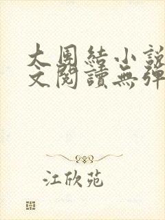 大团结小说集全文阅读无弹窗