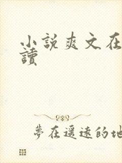 小说爽文在线阅读
