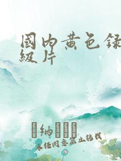 国内黄色录像一级片