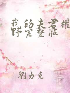 我的夫君权倾朝野完整版