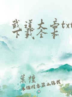 武道大帝txt下载全本