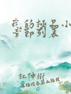 我的极品小姨新章节列表