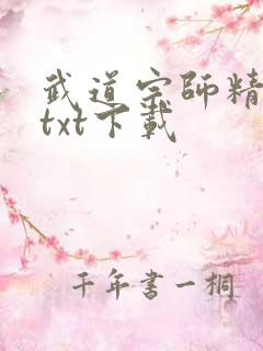 武道宗师精校版txt下载