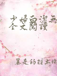 少妇白洁无删减全文阅读