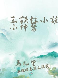王铁柱小说乡村小神医