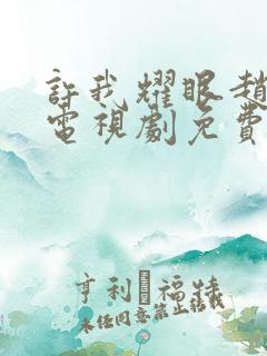 许我耀眼赵露思电视剧免费观看全集在线播放