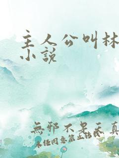 主人公叫林未的小说