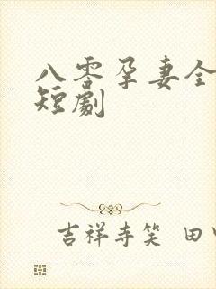 八零孕妻全家宠短剧