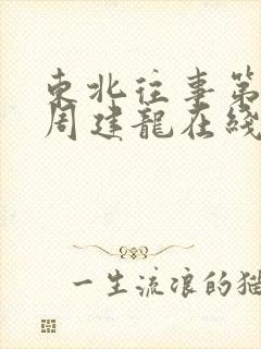 东北往事第四部周建龙在线听