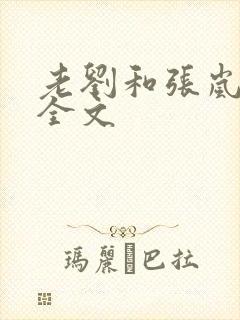 老刘和张岚小说全文